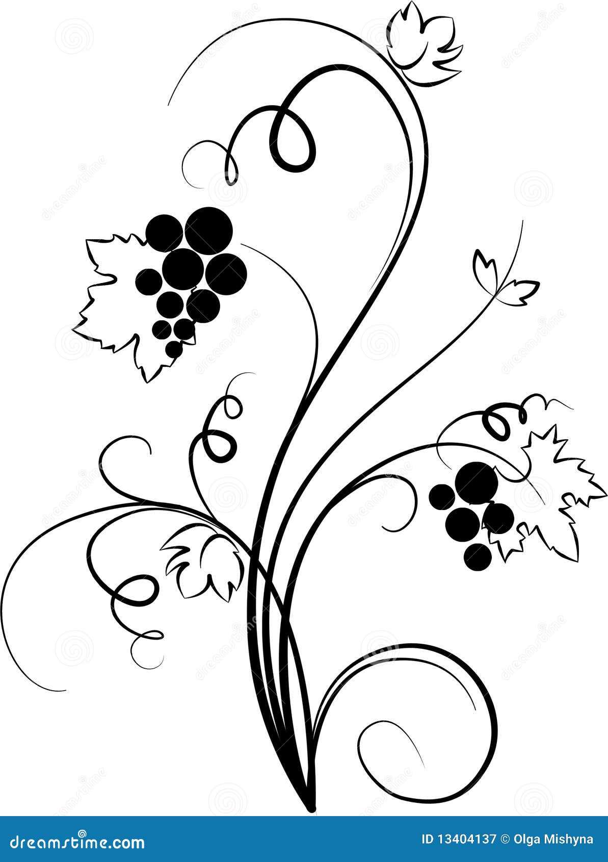 Design elements  vine  Color vector illustration dark red grapes   drawing sketch  Grape drawing Fruits drawing Wine logo