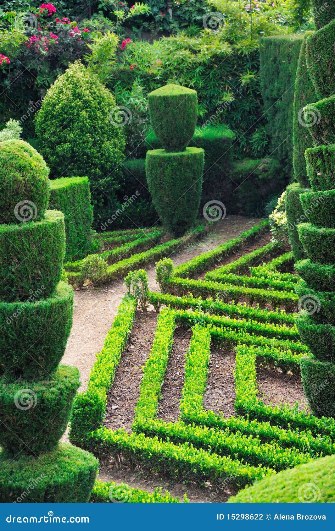 Decorative Green Park - Botanical Garden Funchal Stock Photo - Image of ...