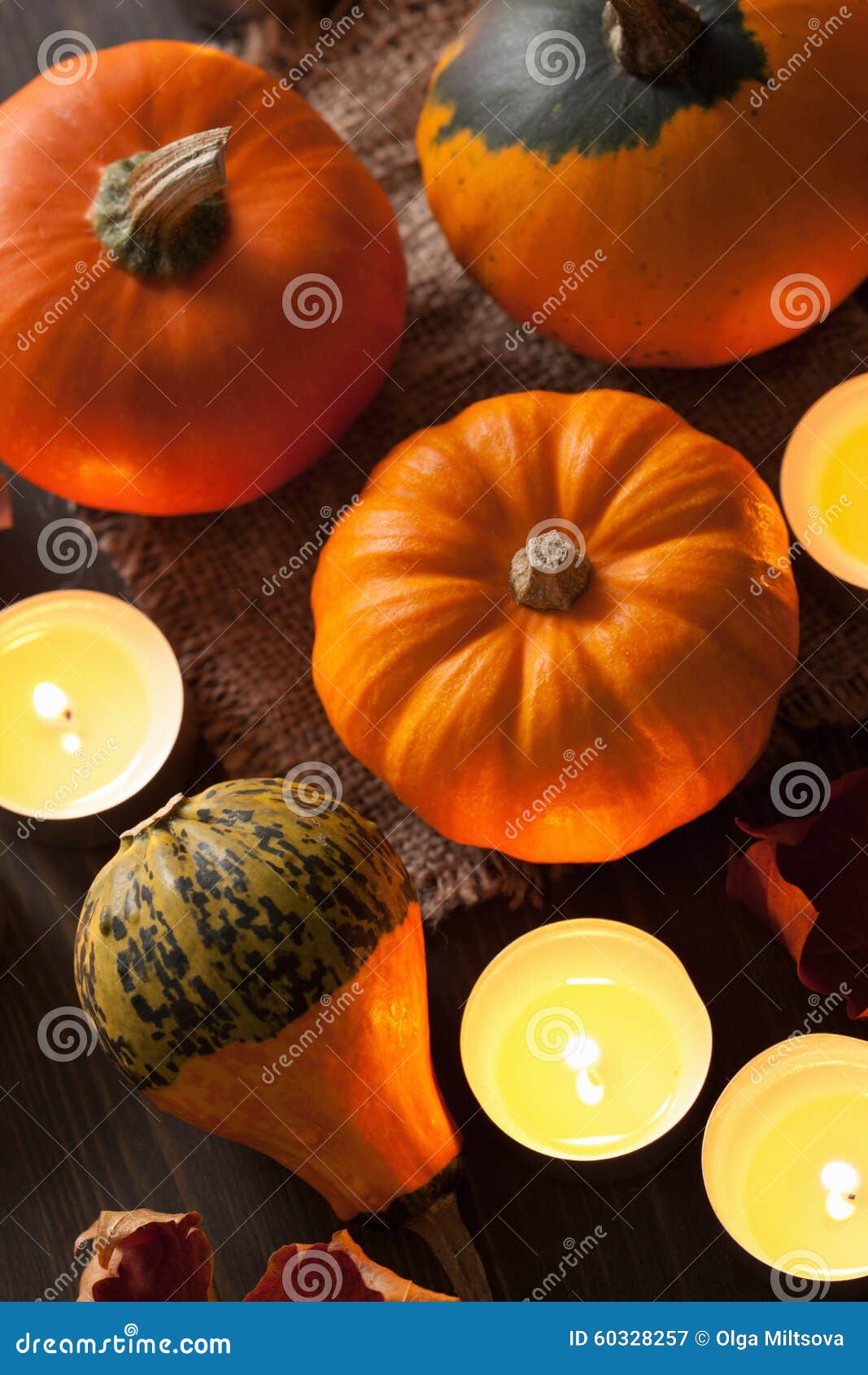 Decorative Halloween Pumpkins and Candles Stock Image Image of