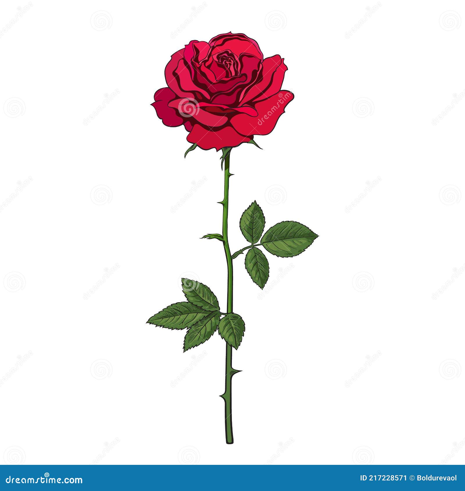 Decorative Hand Drawn Dark Red Rose Flower with Leaves and Stem. Vector Illustration Isolated on White Background Stock Vector - Illustration of love, contour: 217228571 Decorative Hand Drawn Dark Red Rose Flower with Leaves and Stem. Vector Illustration Isolated on White Background Stock Vector - Illustration of love, contour: 217228571