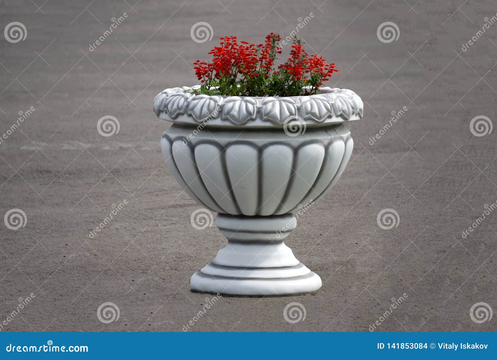 Decorative Iron Garden Urn with Pink Flowers Stock Photo Image of architecture, landscaping