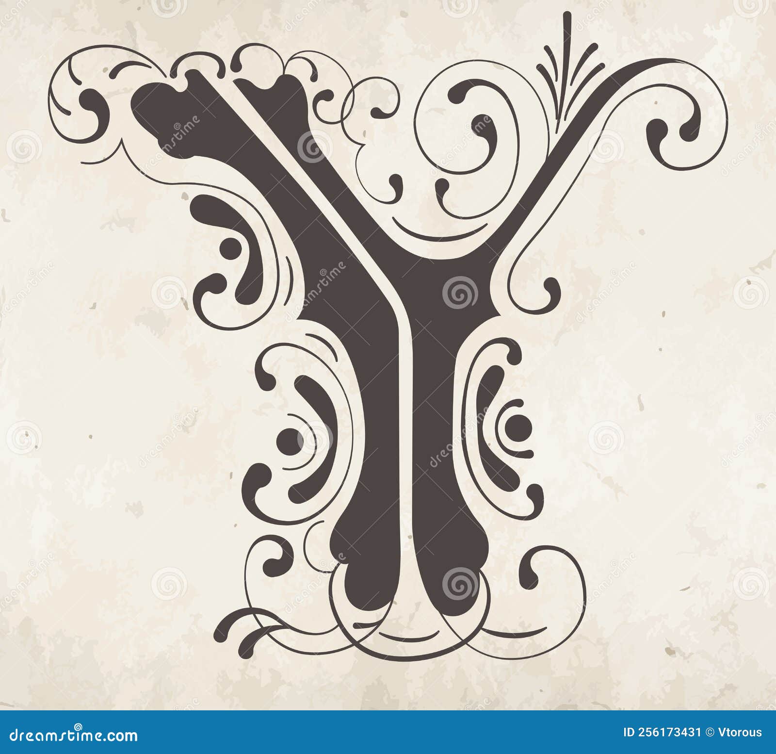 Decorative Letter Y. Calligraphy Style. Stock Vector Illustration of rococo, sign 256173431