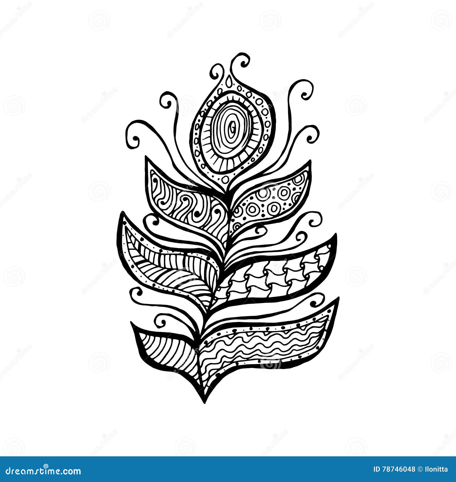 Decorative Line Art Doodle Style Tribal Peacock Feather Stock Vector -  Illustration of american, bird: 78746048, image size:1600x1690