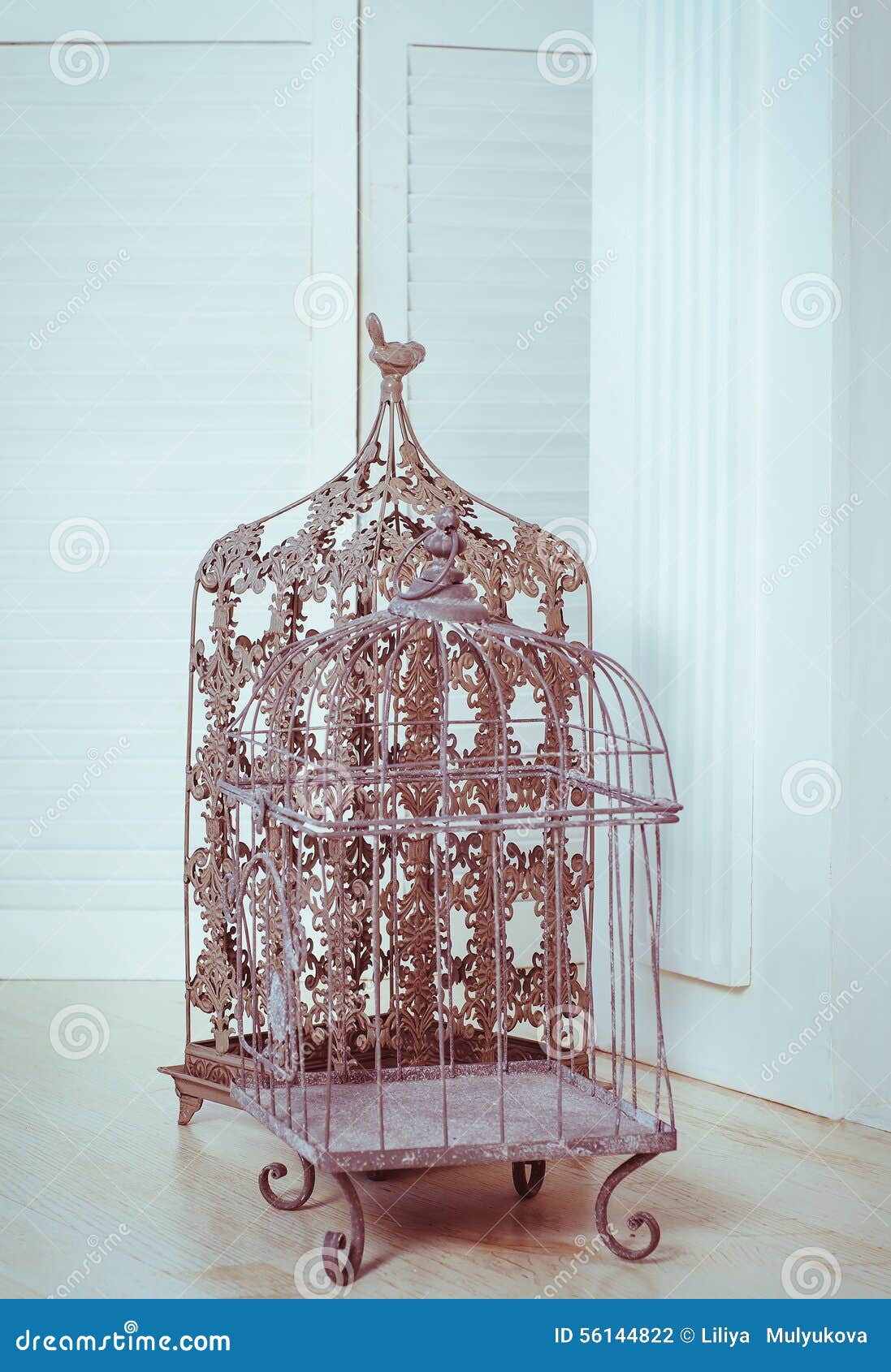 Decorative metal birdcage stock photo. Image of contemporary 56144822