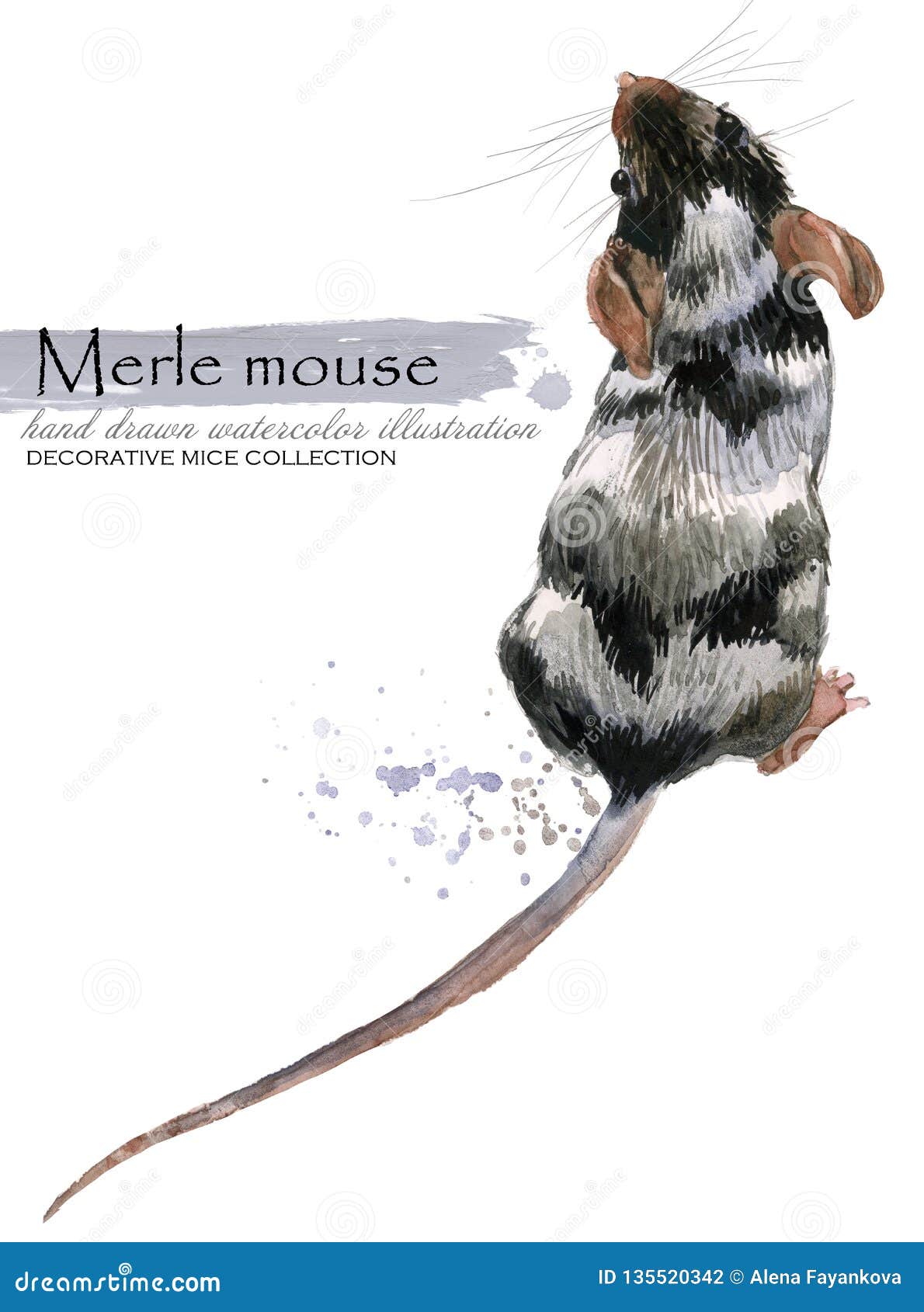 Decorative Mice Watercolor Illustration. Home Mouse Stock Illustration -  Illustration of animal, small: 135520342