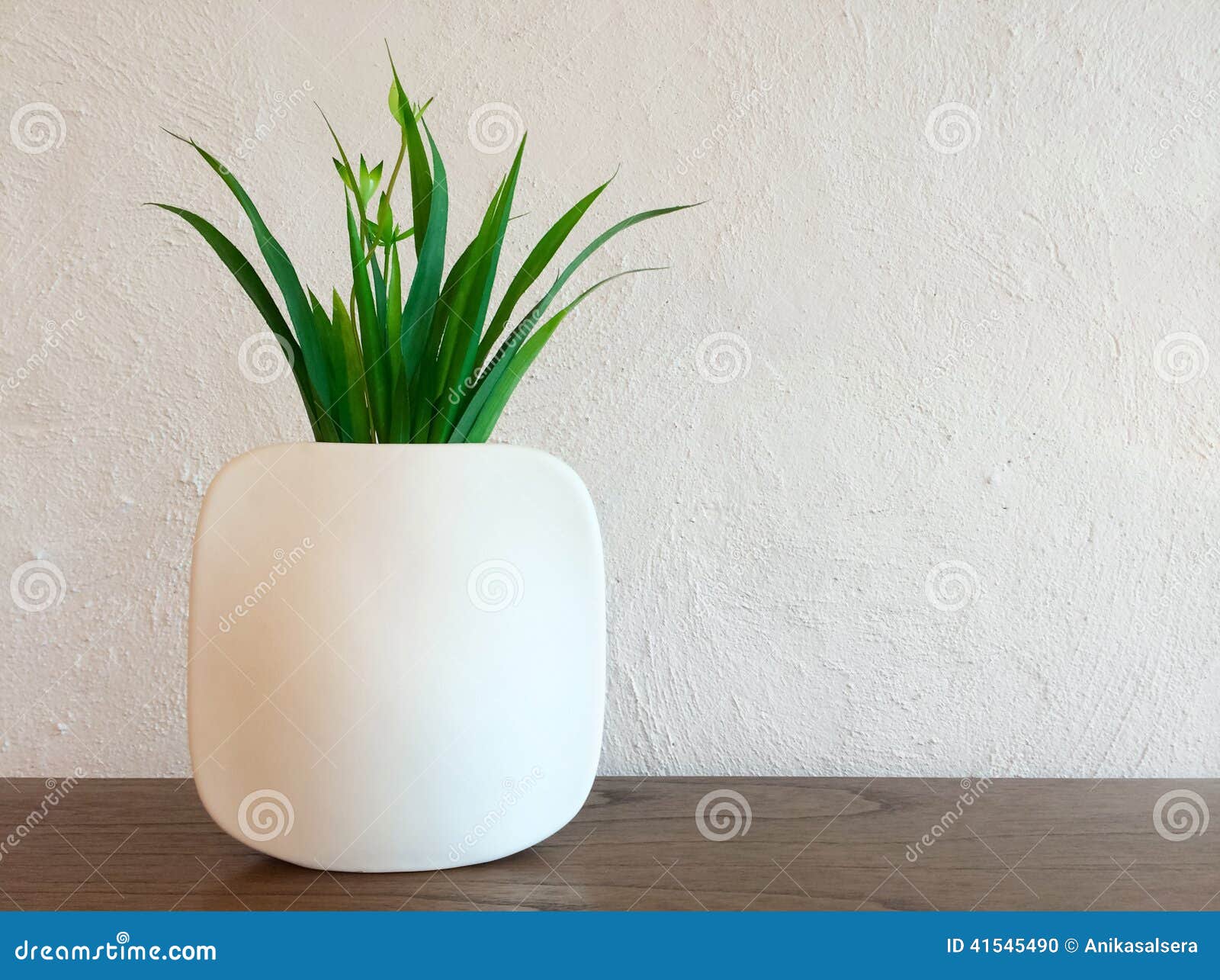 Decorative Plant in White Vase Stock Photo Image of contemporary