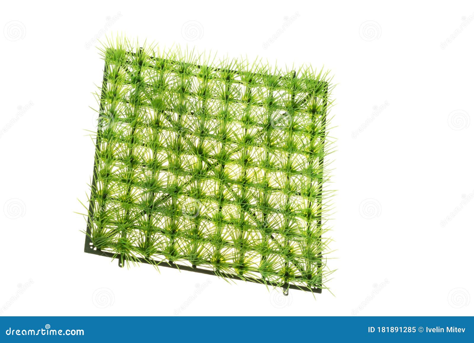 Decorative Plastic Fake Grass Tile, Isolated on White Stock Image