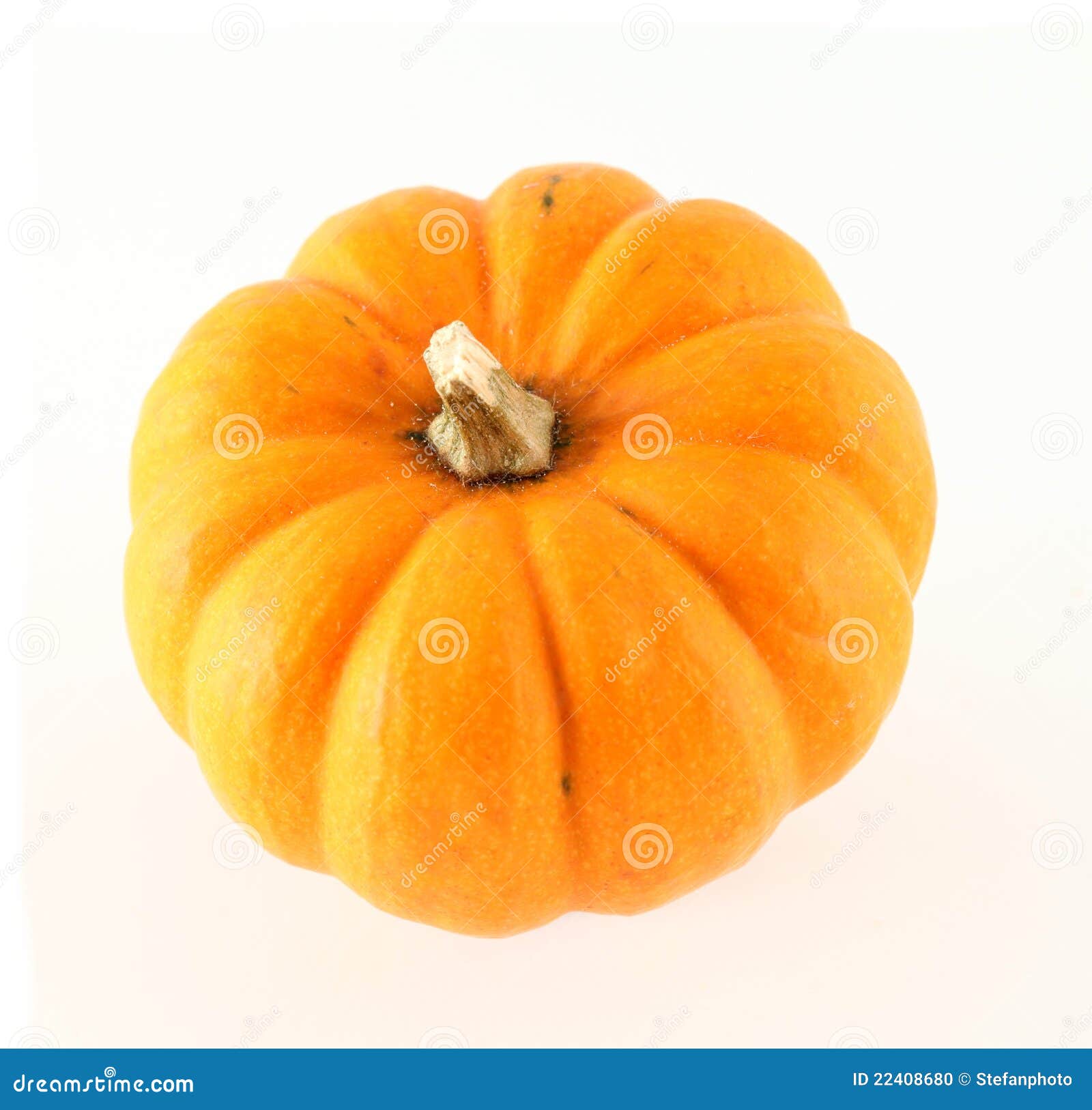 Decorative pumpkin (gourd) stock photo. Image of halloween 22408680