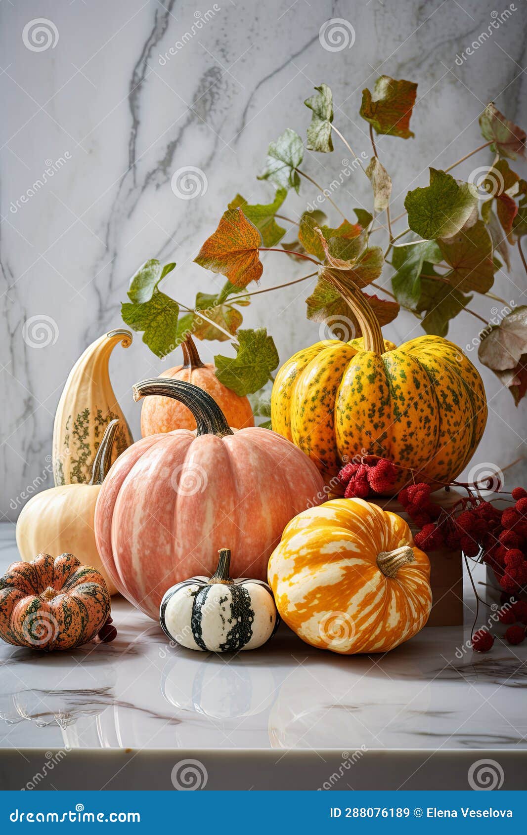 Decorative Pumpkins on Marble Table, Fall Centerpiece for Thanksgiving