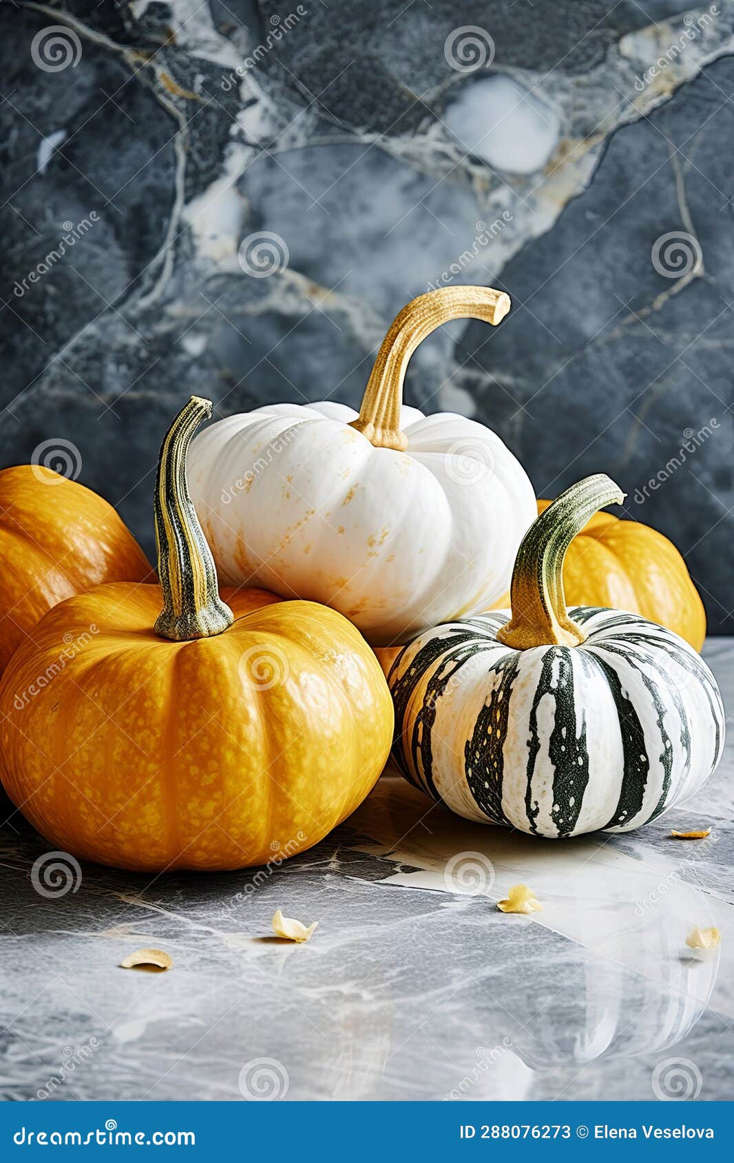 Decorative Pumpkins on Marble Table, Fall Centerpiece for Thanksgiving