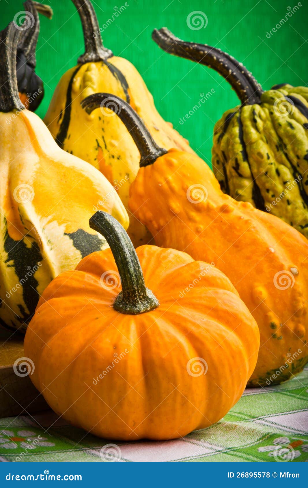 Decorative Pumpkins Squash Fruits Stock Photo Image of mini, brown