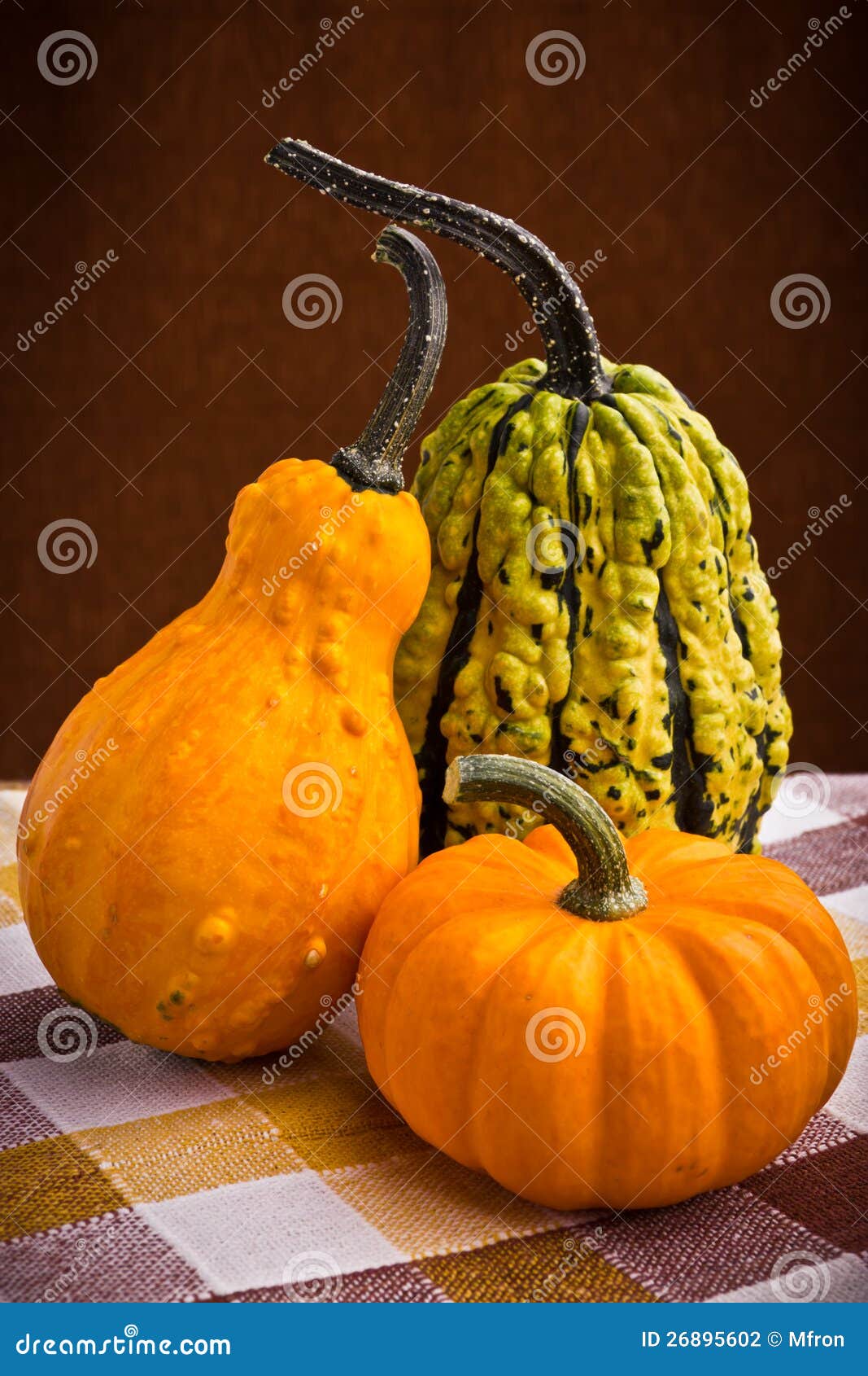 Decorative Pumpkins Squash Fruits Stock Photo Image of gourd