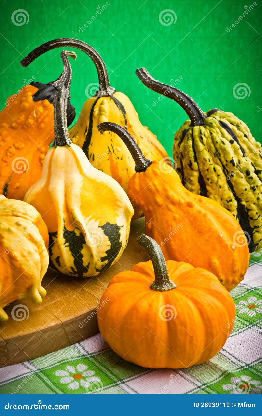 Decorative Pumpkins Squash Fruits Stock Image Image of decoration
