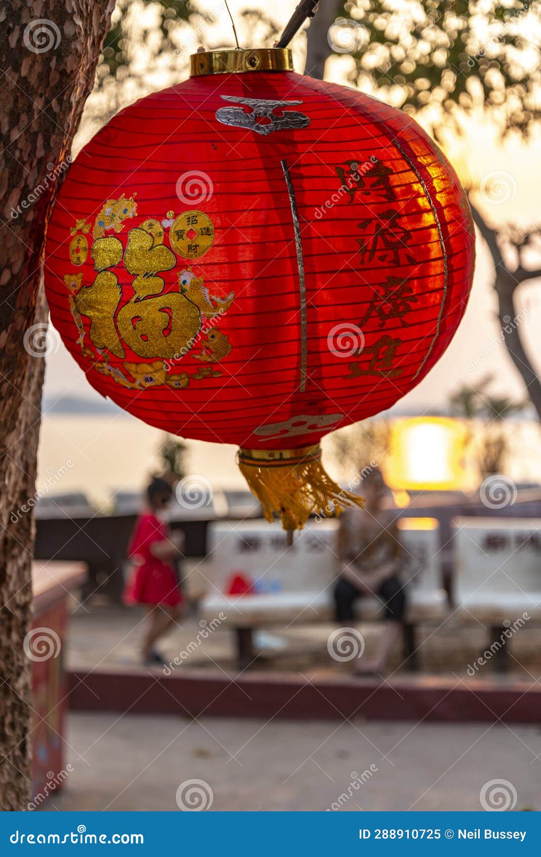 decorative red lantern shades,at sunset,outside buddhist temple,pakse,laos