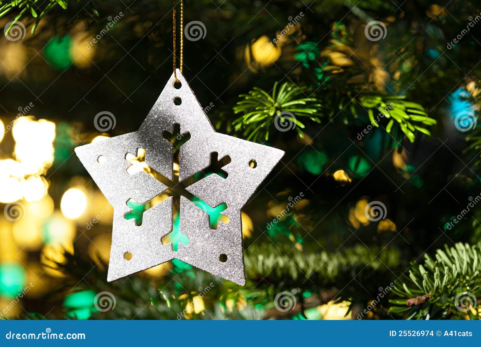 Decorative Silver Star Ornament Stock Photo Image of shape, public
