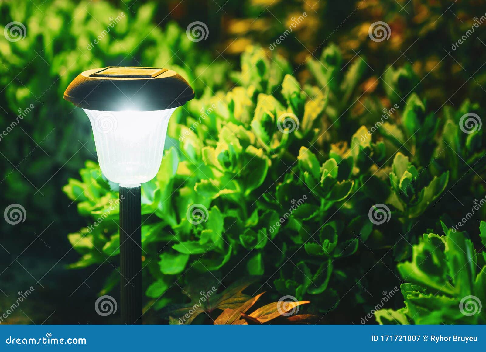 Decorative Small Solar Garden Light, Lantern in Flower Bed. Garden