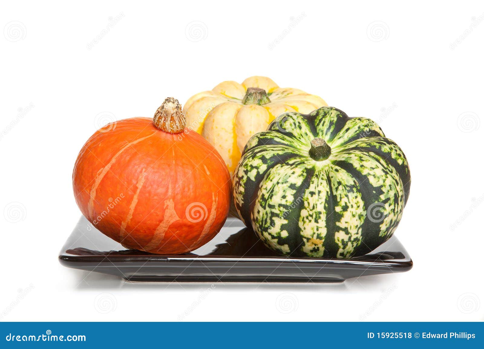Decorative Squashes stock photo. Image of shadow, squash 15925518