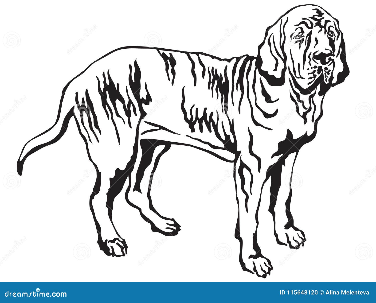 Decorative Standing Portrait of Fila Brasileiro Vector