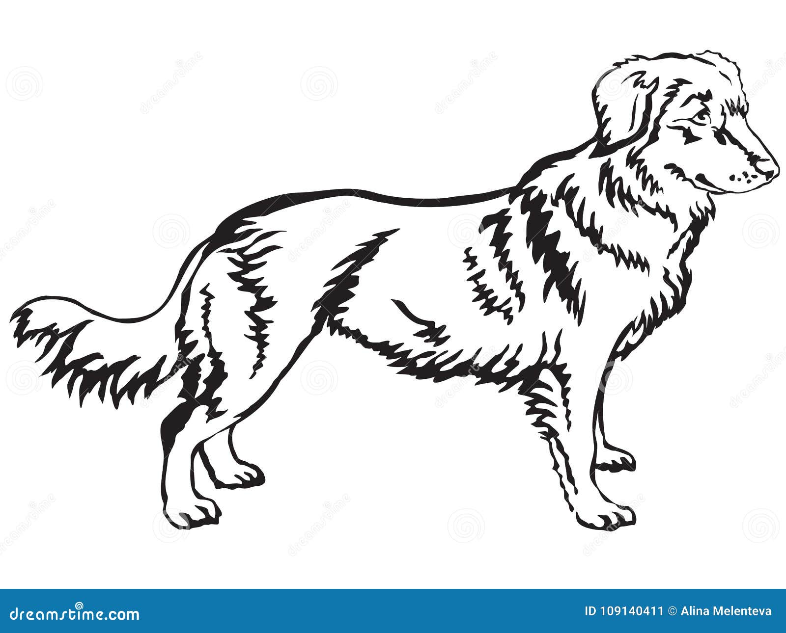 Featured image of post Black Black Background Black Nova Scotia Duck Tolling Retriever