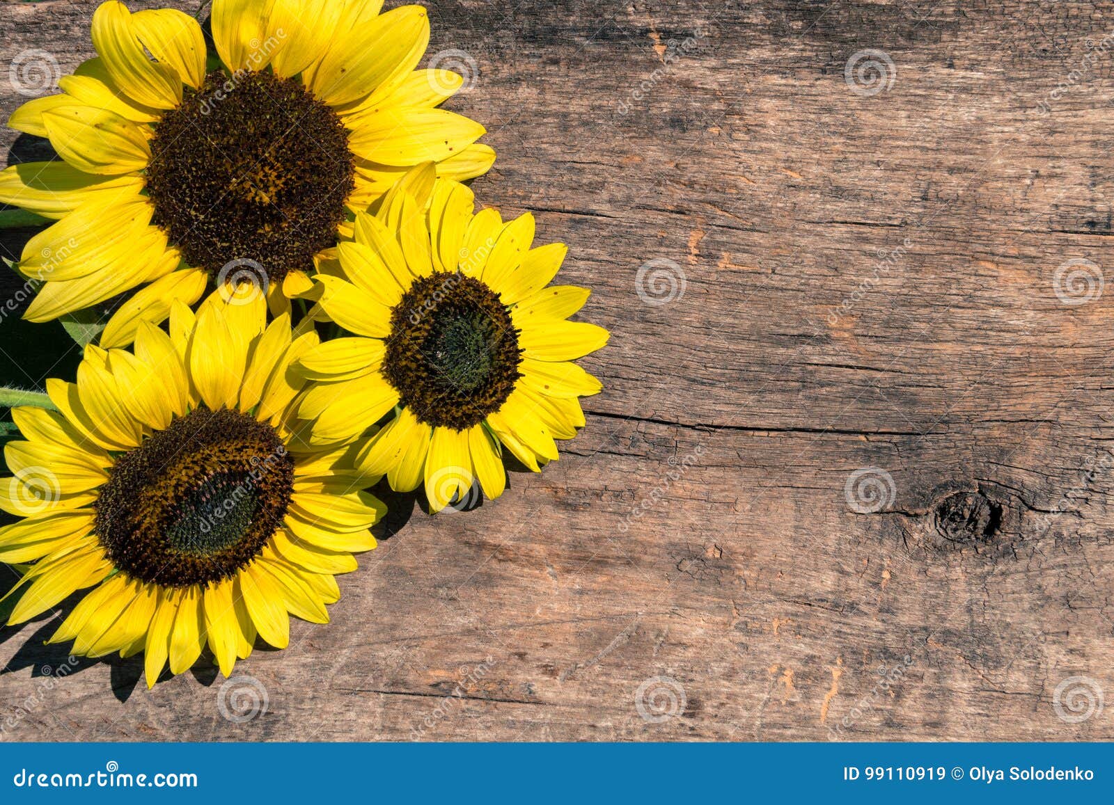 Decorative Sunflowers on Wooden Background Stock Image - Image of fall ...