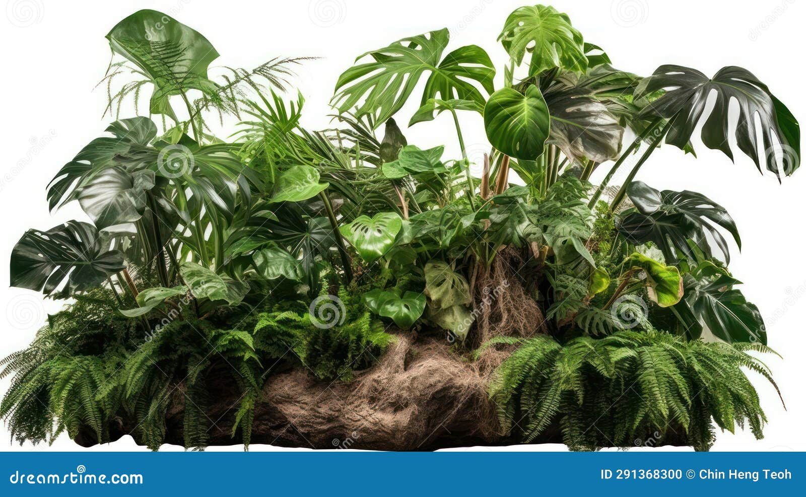 A Decorative Terrarium with Tropical Plants Isolated on White