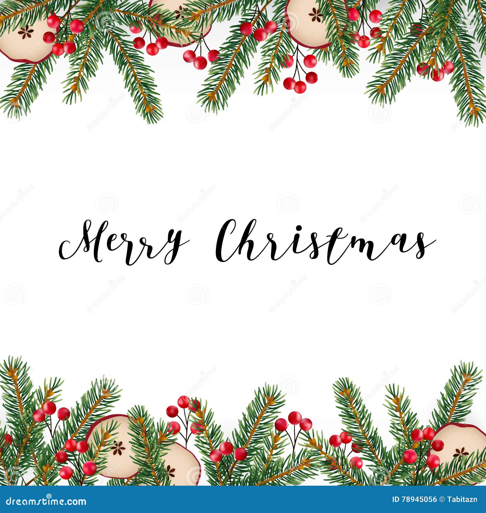 decorative traditional merry christmas frame border fir spruce merry christmas frame