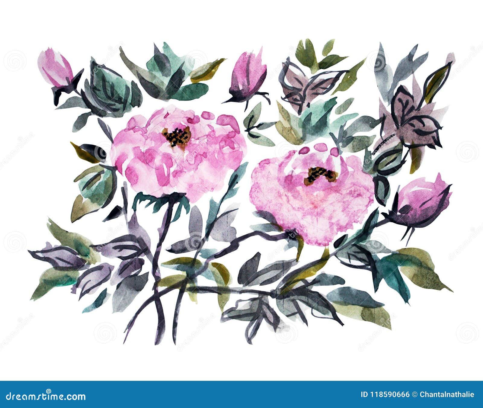 Watercolor flowers clipart stock illustration. Illustration of ...
