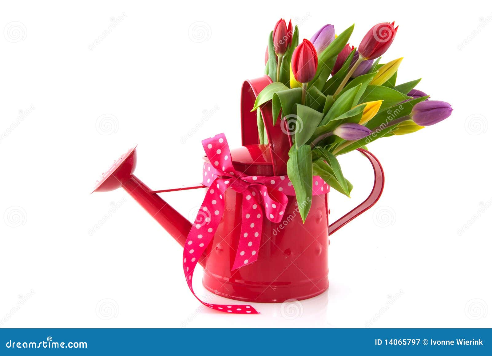 Decorative Watering Can with Flowers Stock Image Image of bunch