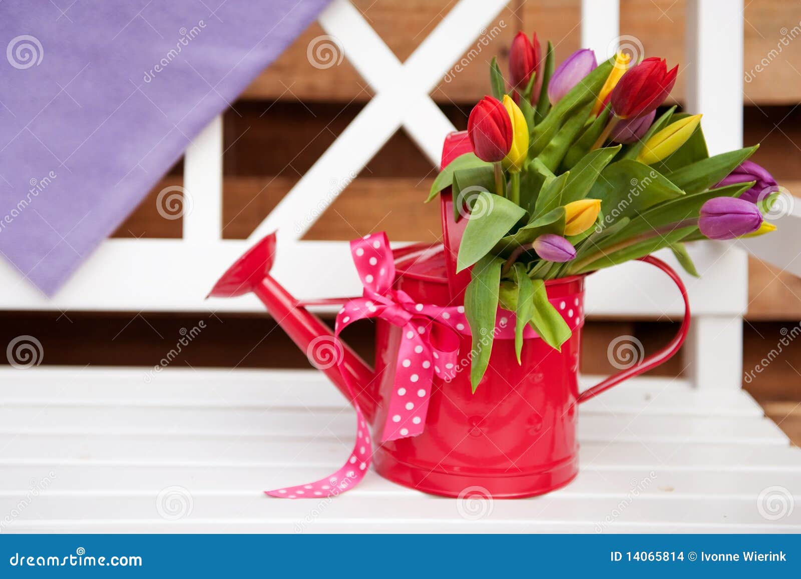 Decorative Watering Can with Flowers Outdoor Stock Photo Image of