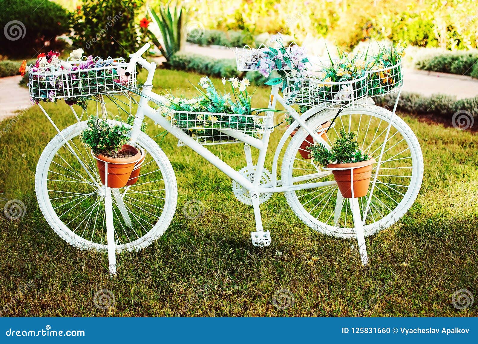Decorative White Colored Bike with Flower Stock Photo - Image of ...