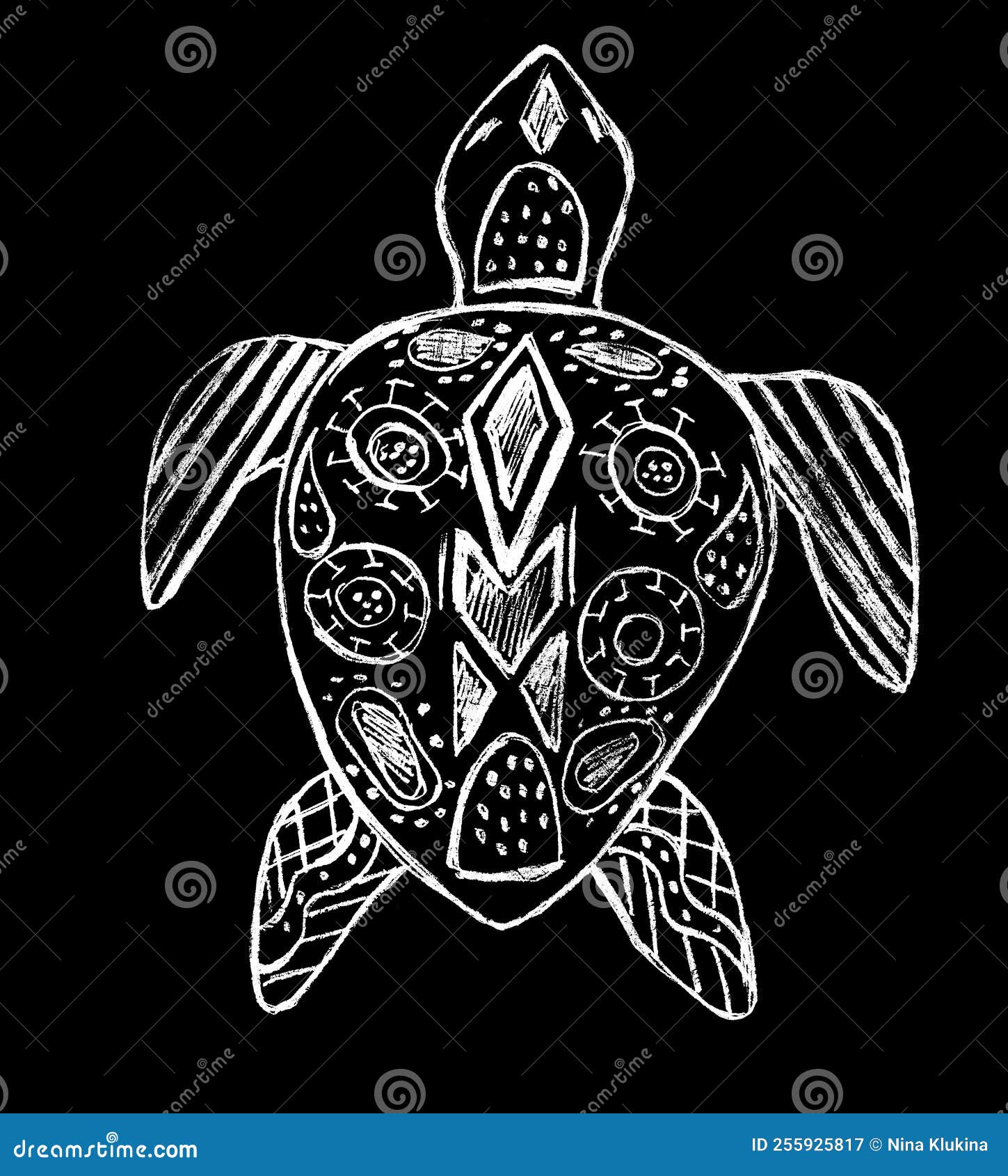 Decorative White Sea Turtle on a Black Background Stock Illustration Illustration of