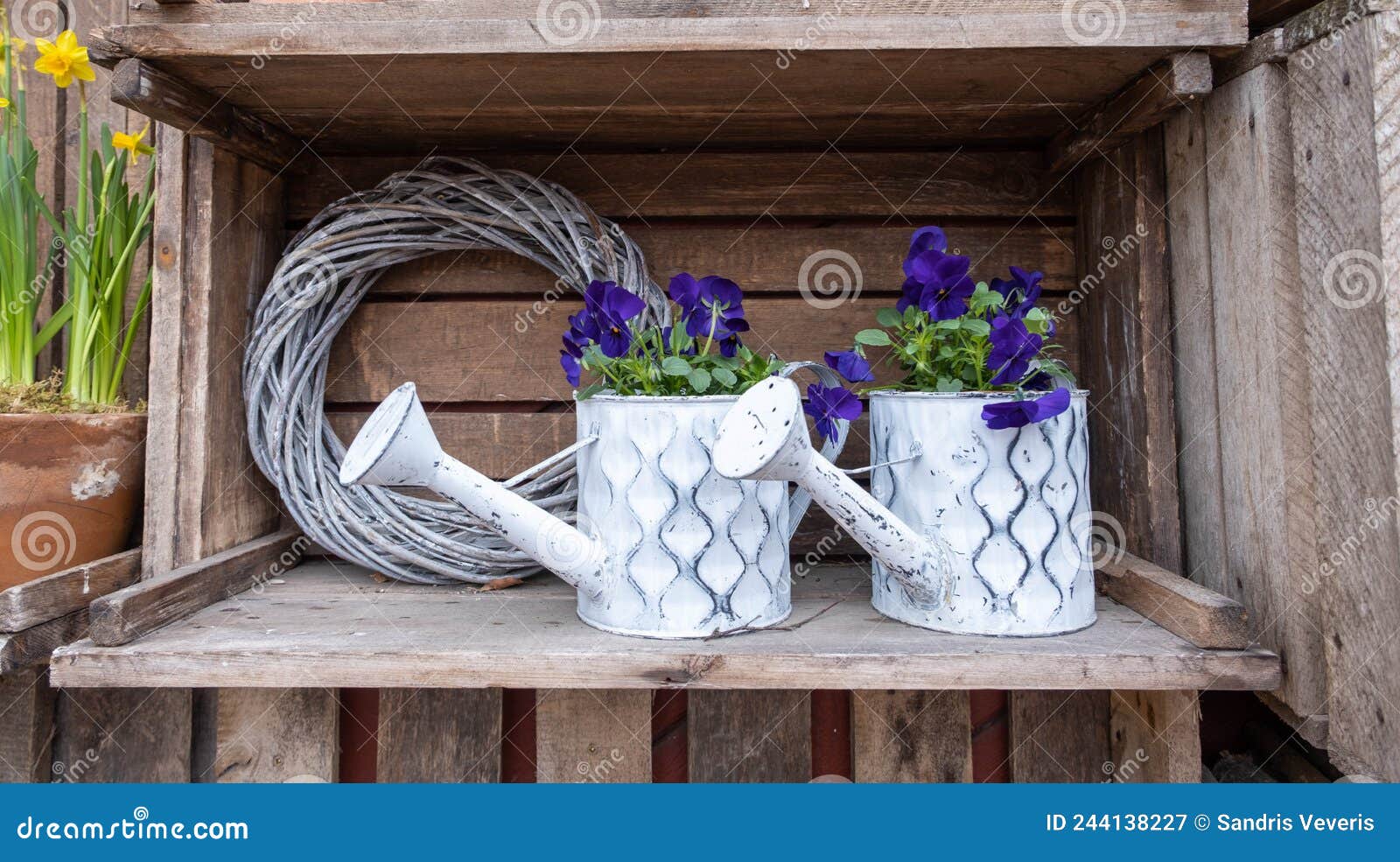 Decorative White Watering Cans with Flowers. Blue Flowers. Stock Image