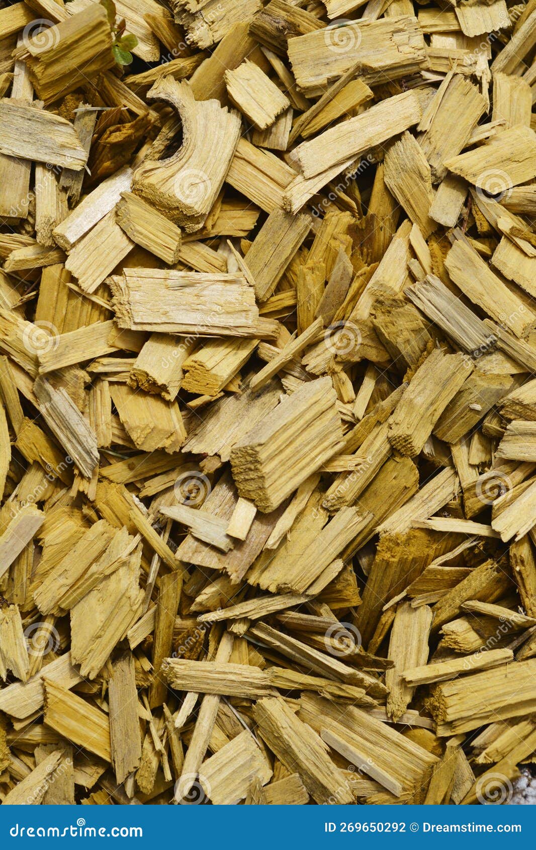 Decorative wood chips stock photo. Image of texture 269650292