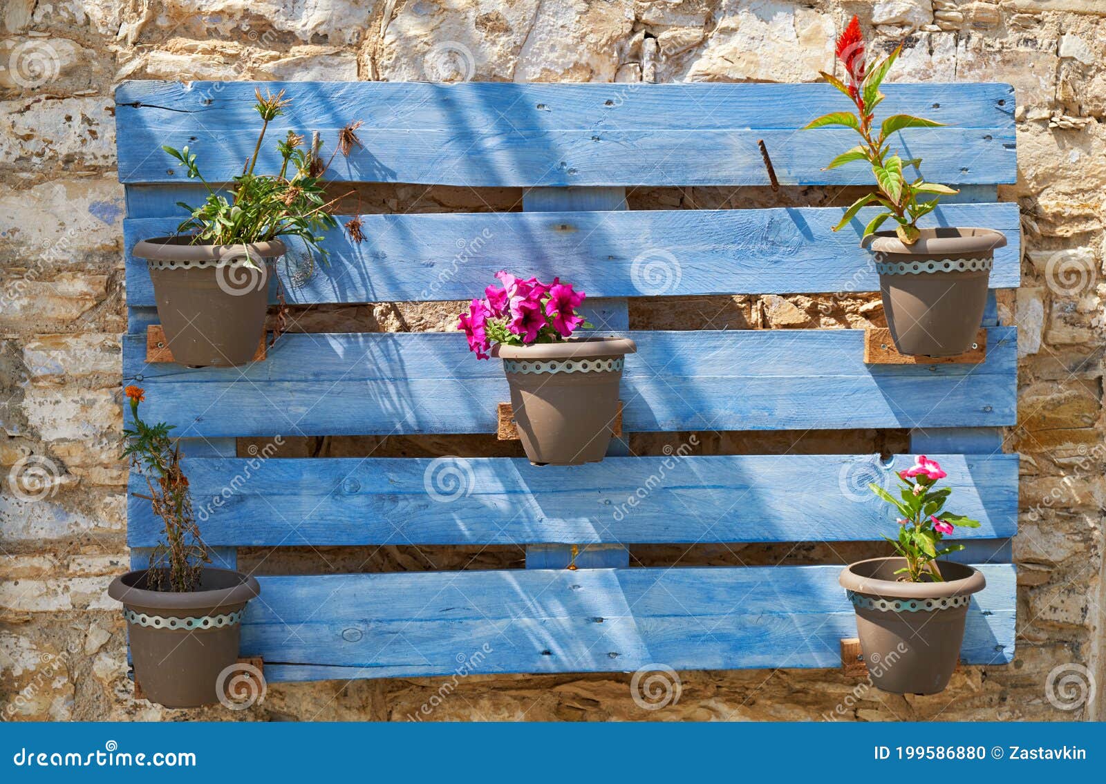 The Wood Wall Decoration with Flower Pots. Cyprus Stock Photo - Image of  decorative, ornamental: 199586880