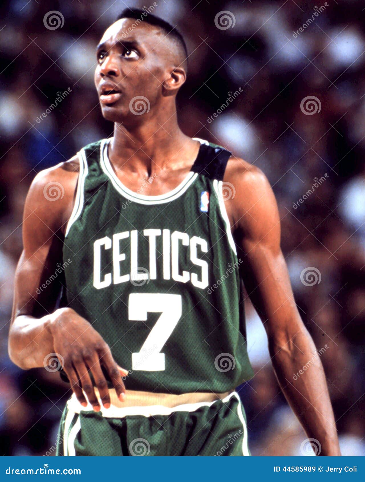 dee brown celtics jersey