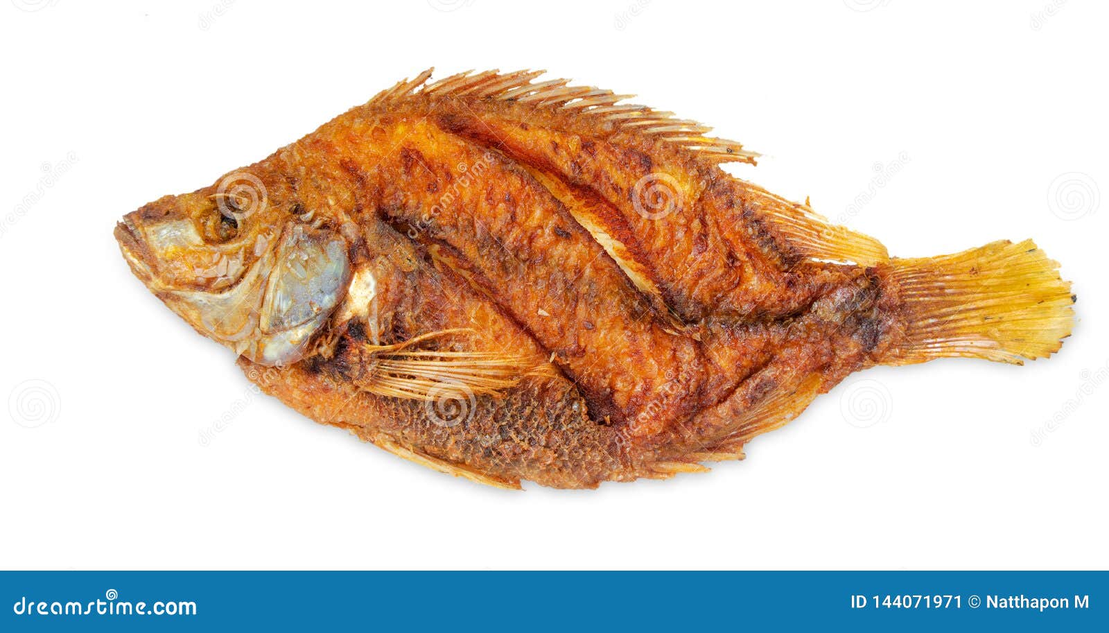 deeo fried tilapia fish fried  on white background