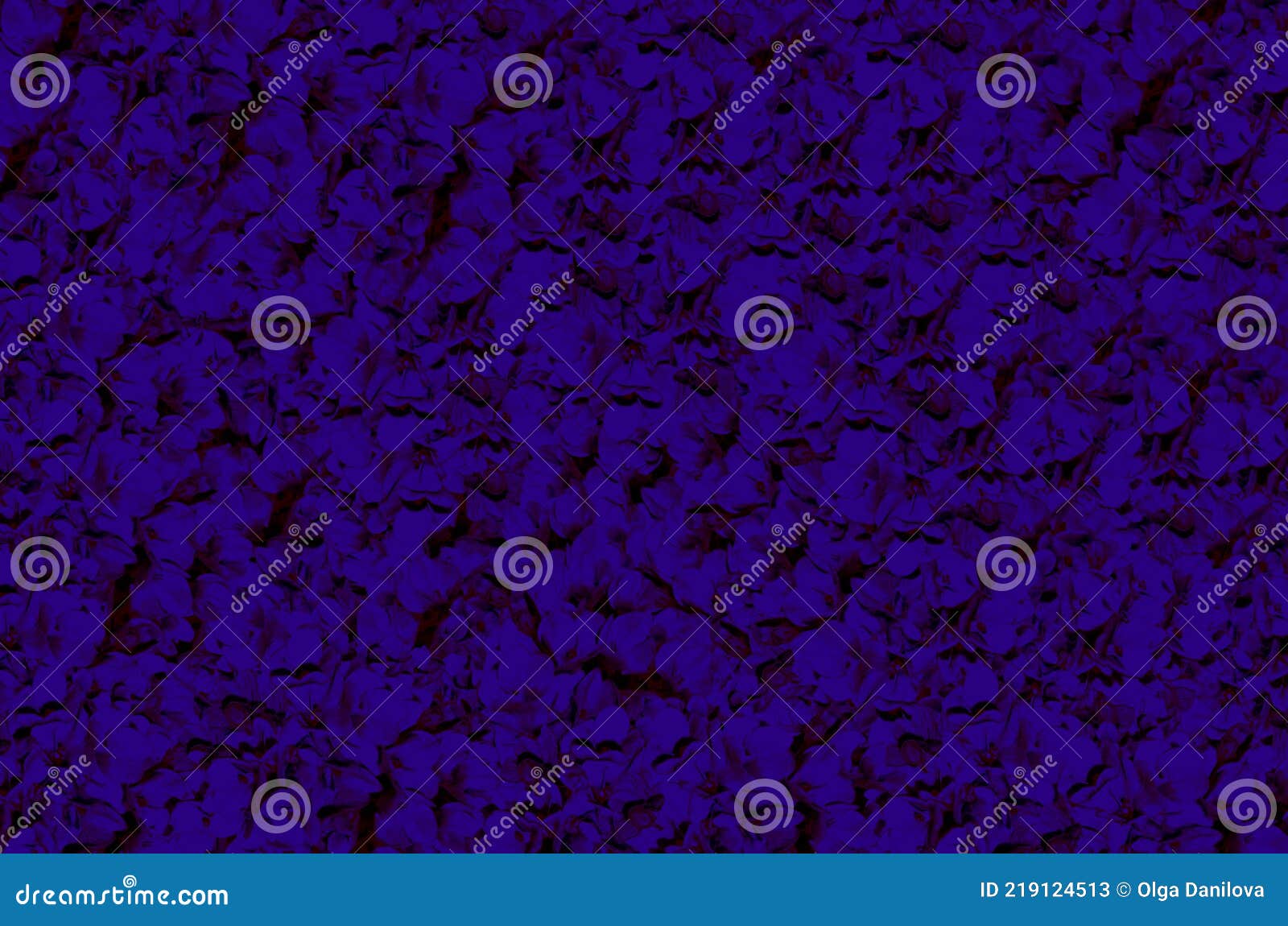 deep blue abstract boho background,backdrop,wallpaper with frilled flower petals texture.