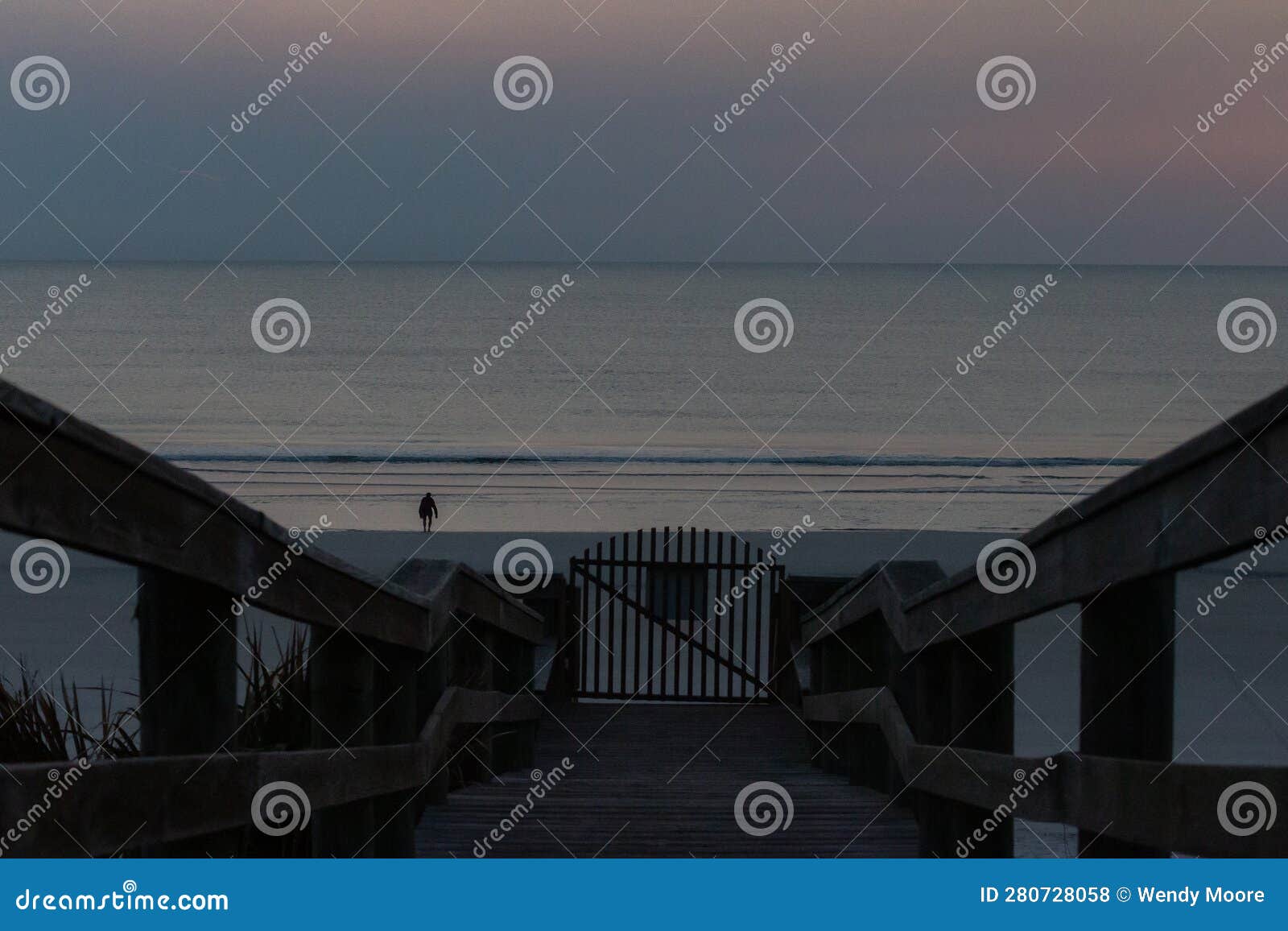 Tranquil Boardwalk