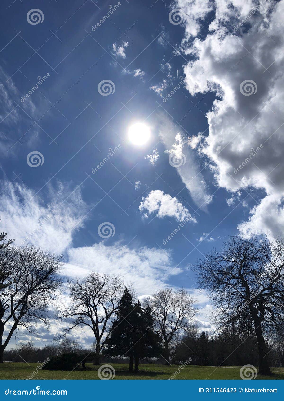 deep blue sky with various white clouds 8