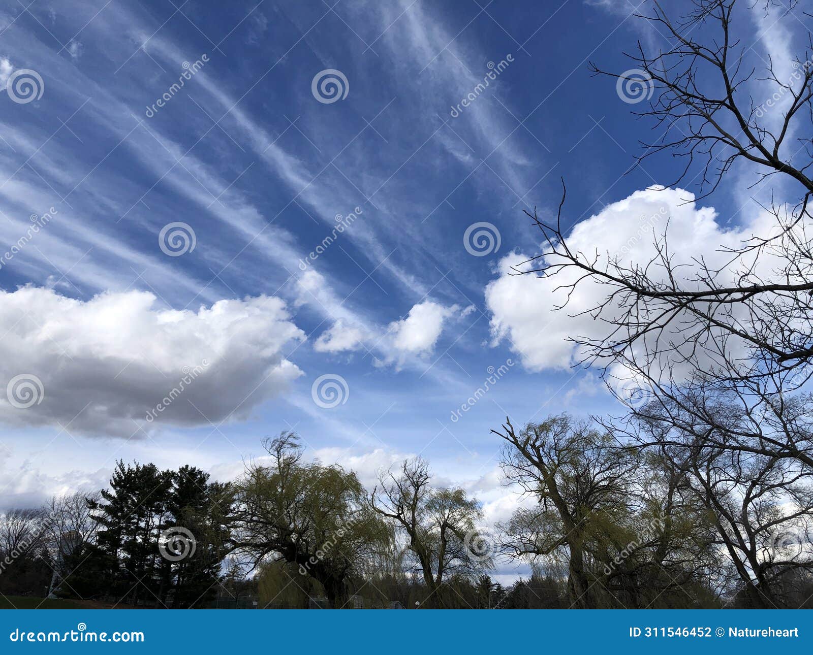 deep blue sky with various white clouds 3