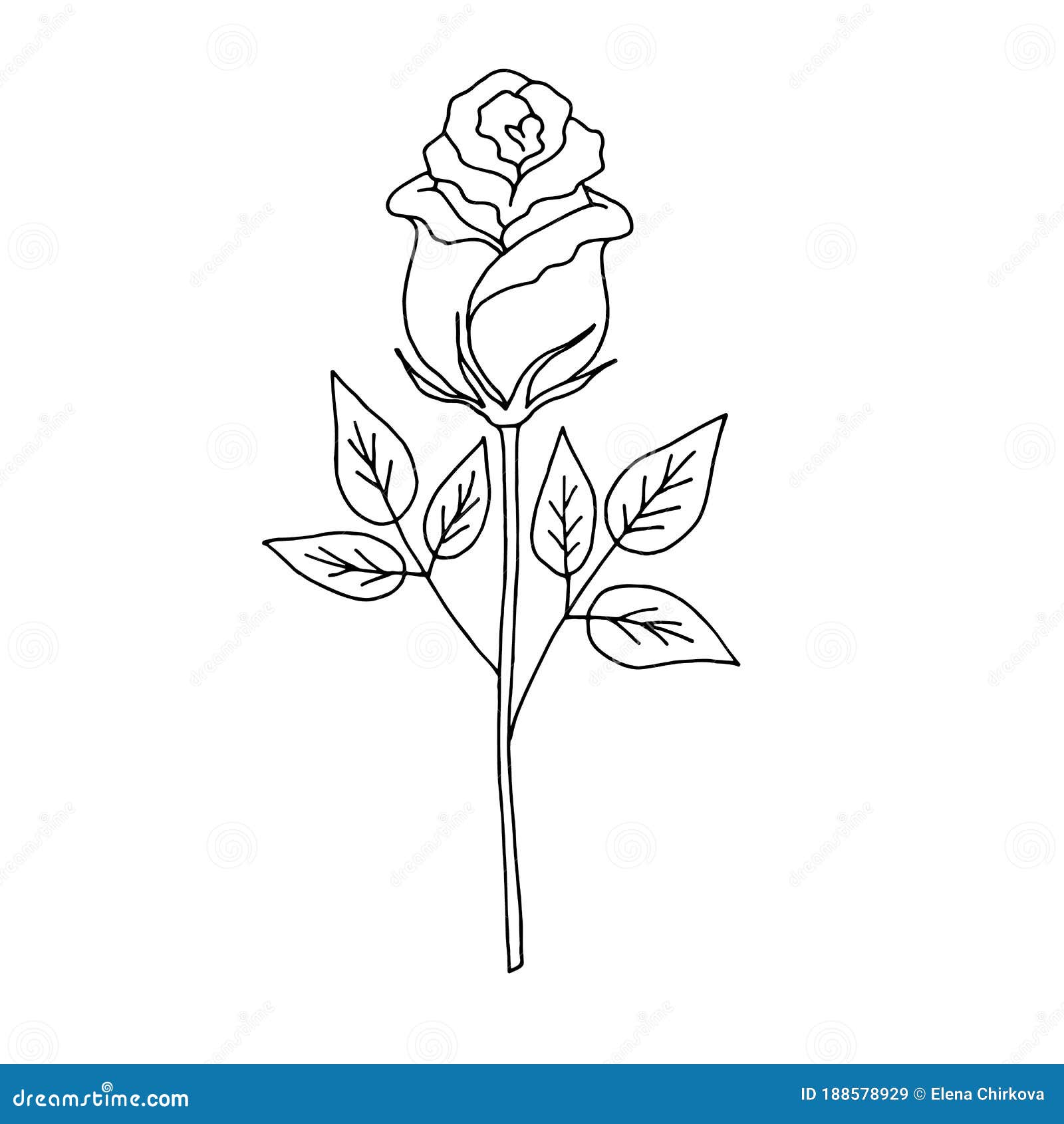 Deep Contour Rose Flower with Green Leaves, Sketch Style Vector ...