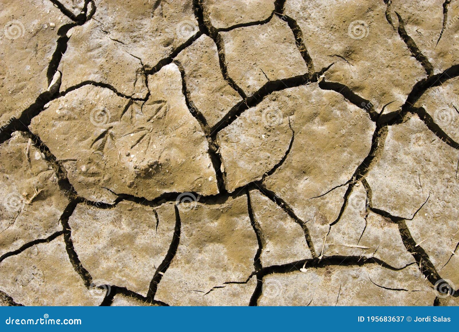 Cracks on the Soil during a Drought Stock Image Image of damage