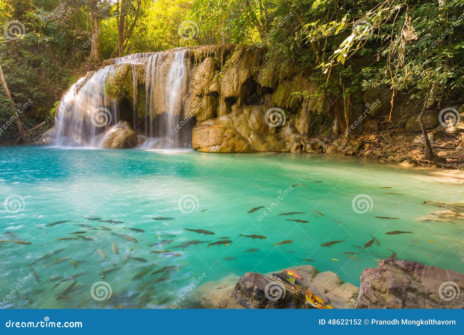 deep forest waterfall erawan waterfall locate national park kanjanaburi thailand 48622152