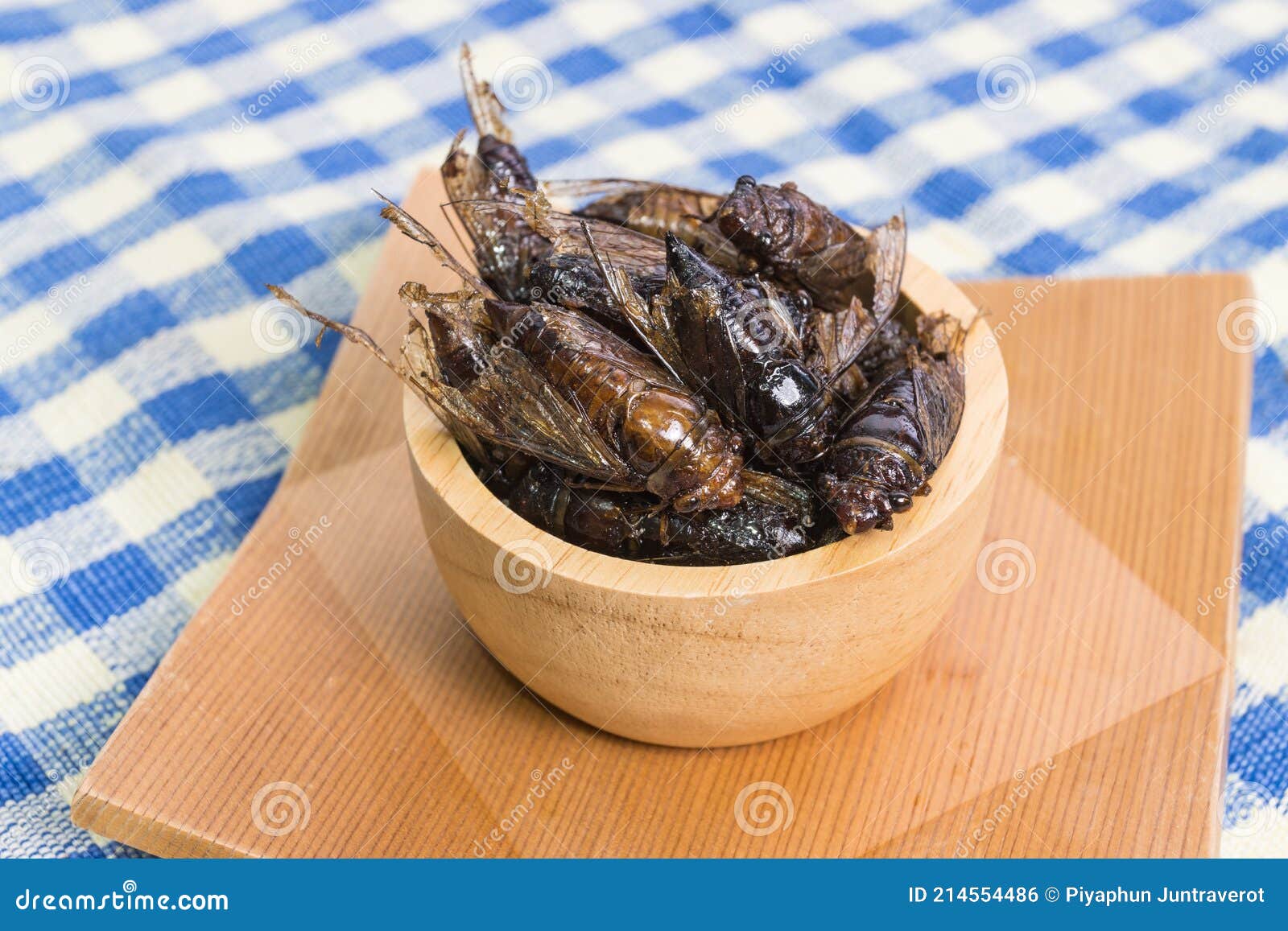 Deep Fried Cicada Thai Food Protein the Normal Traditional Local Thai