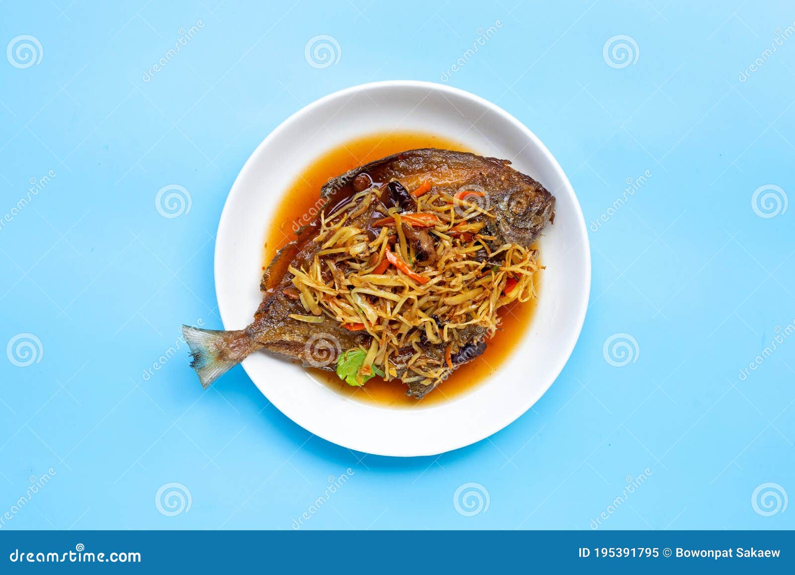 Deep Fried Fish with Ginger and Soy Sauce on White Dish Plate on Blue Background Stock Image