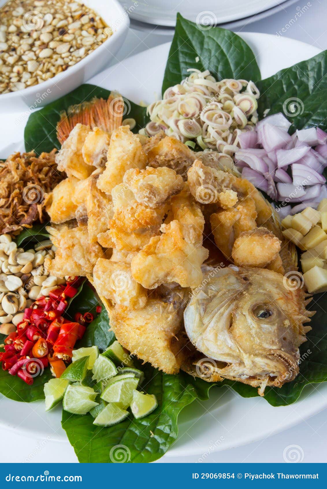Deep Fried Fish with Herb Salad Stock Photo - Image of mint, spice ...