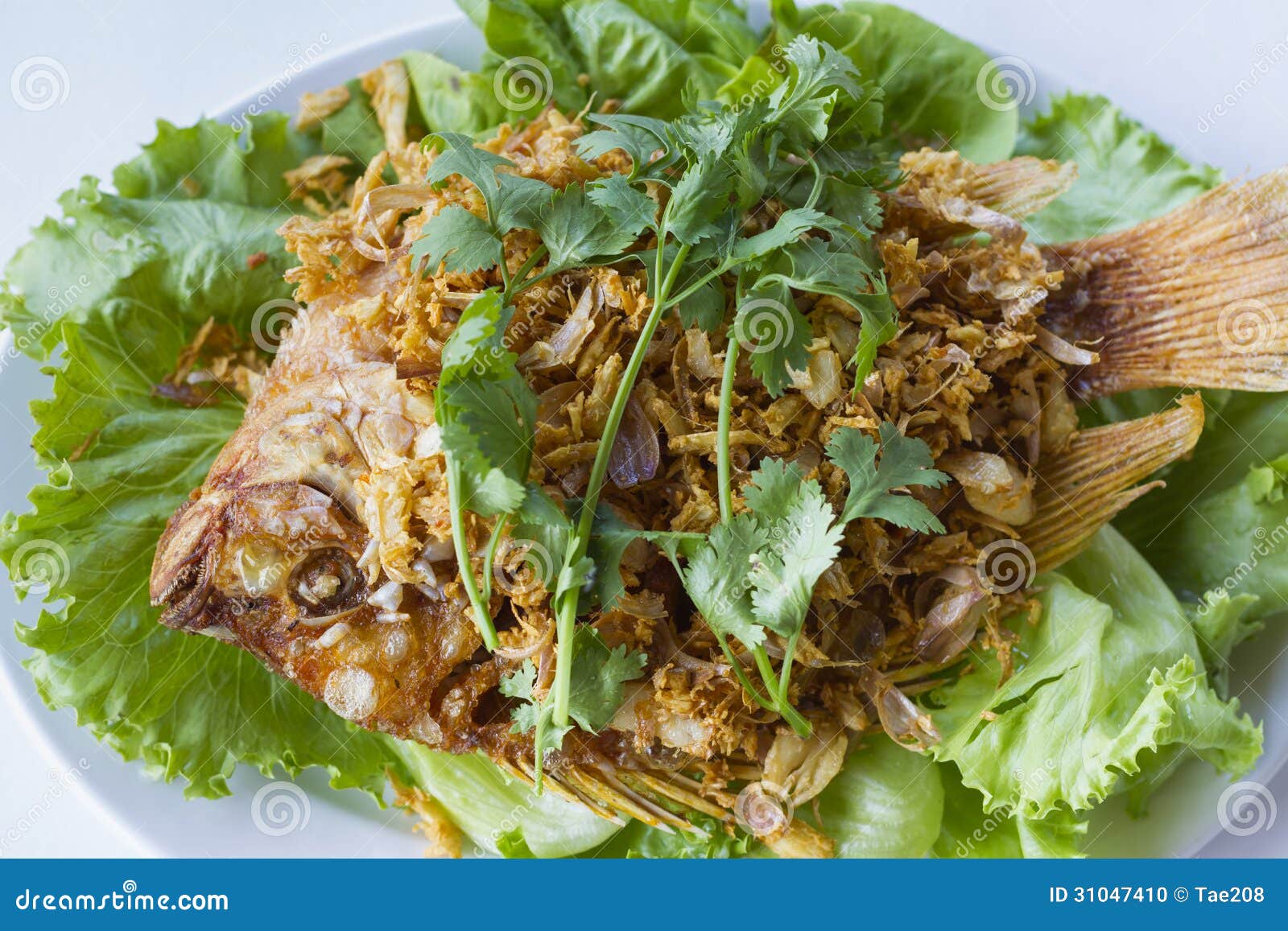 Deep Fried Red with Crispy Garlic Stock Photo Image of meal, fresh