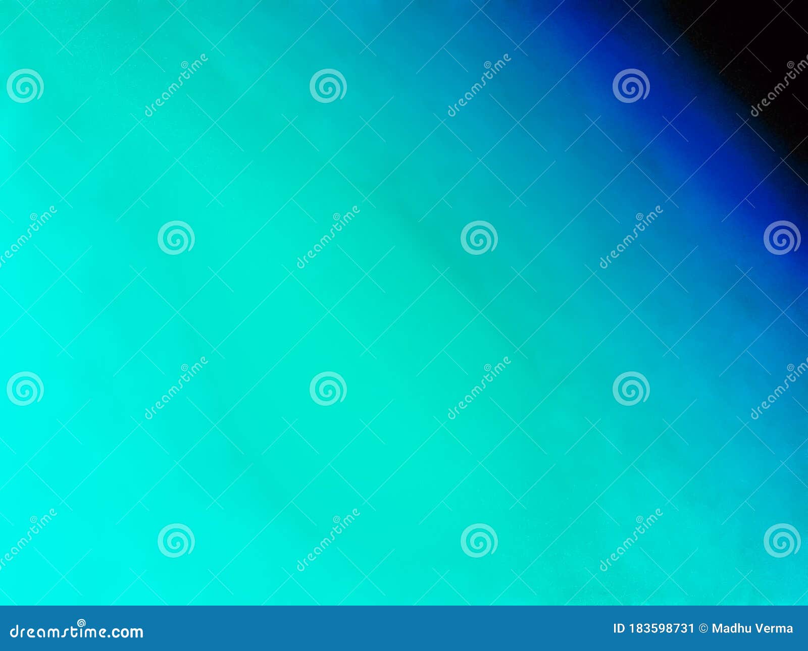 womens navy blue slides