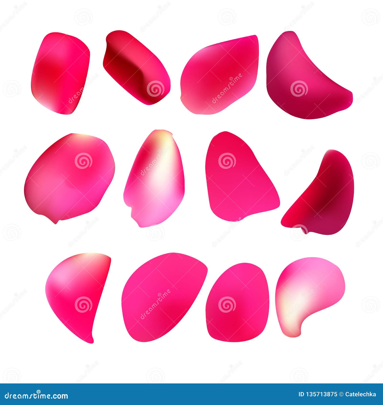 deep pink rose petal`s set  on white background.