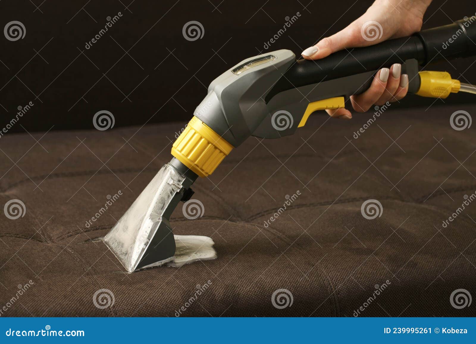 Deep Professional Cleaning of Sofa with Vaccum Cleaner Stock Image